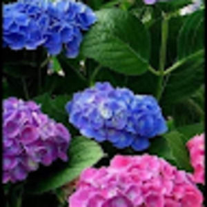 Meet your Posher, Christi